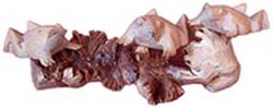 Bali Handicrafts product