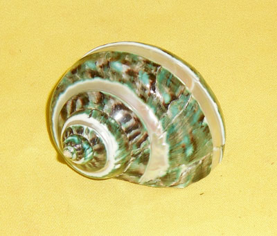 Dewata Crafts