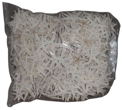 Dewata Crafts
