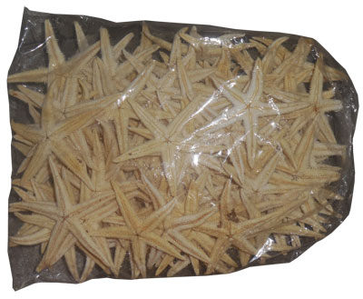 Dewata Crafts